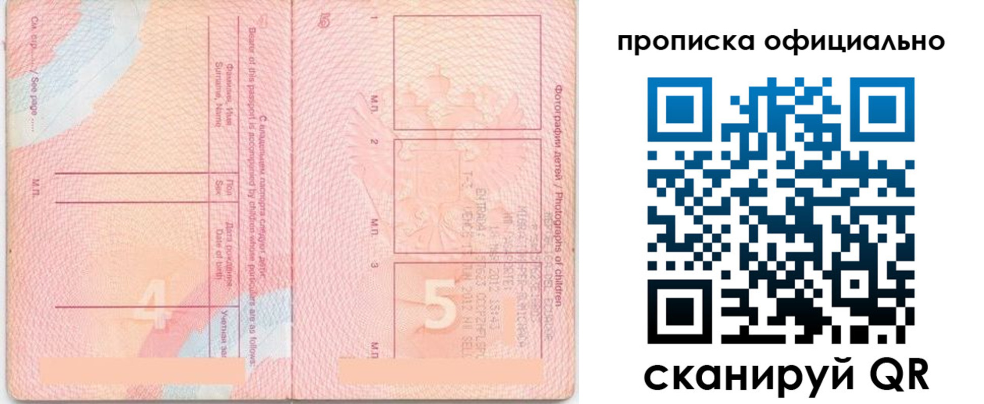 прописка для школы в Жуковке